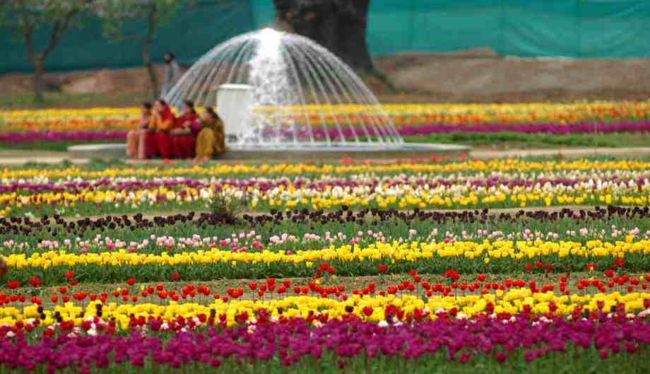 Mogul Gardens best place to visit in kashmir